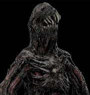 MOLD