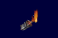 Molotov