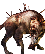 ORTHRUS