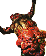SPLODER
