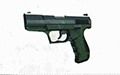 R39 Swamp Rat AZ
